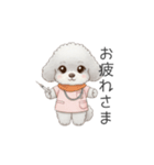 トイプー看護師さんのお仕事スタンプ（個別スタンプ：3）