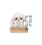 トイプー看護師さんのお仕事スタンプ（個別スタンプ：7）