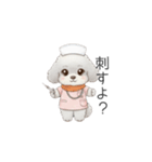 トイプー看護師さんのお仕事スタンプ（個別スタンプ：11）