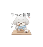 トイプー看護師さんのお仕事スタンプ（個別スタンプ：12）