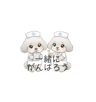 トイプー看護師さんのお仕事スタンプ（個別スタンプ：13）