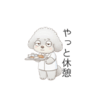 トイプー看護師さんのお仕事スタンプ（個別スタンプ：16）