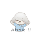 トイプー看護師さんのお仕事スタンプ（個別スタンプ：18）