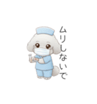 トイプー看護師さんのお仕事スタンプ（個別スタンプ：19）