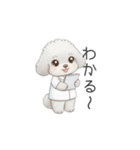 トイプー看護師さんのお仕事スタンプ（個別スタンプ：21）