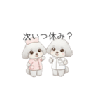 トイプー看護師さんのお仕事スタンプ（個別スタンプ：22）