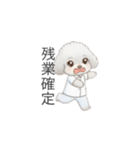 トイプー看護師さんのお仕事スタンプ（個別スタンプ：24）