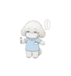 トイプー看護師さんのお仕事スタンプ（個別スタンプ：33）