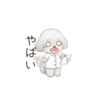 トイプー看護師さんのお仕事スタンプ（個別スタンプ：34）