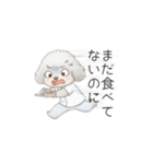 トイプー看護師さんのお仕事スタンプ（個別スタンプ：36）