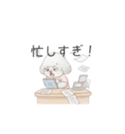 トイプー看護師さんのお仕事スタンプ（個別スタンプ：38）