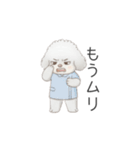 トイプー看護師さんのお仕事スタンプ（個別スタンプ：40）