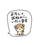 LINE交換☆最初の挨拶（個別スタンプ：1）