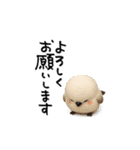 LINE交換☆最初の挨拶（個別スタンプ：9）