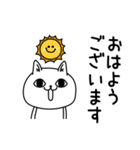 じろりねこ敬語丁寧語（個別スタンプ：13）