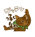 なんだかんだと和風猫 キジトラ編（個別スタンプ：4）
