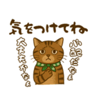 なんだかんだと和風猫 キジトラ編（個別スタンプ：7）