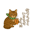 なんだかんだと和風猫 キジトラ編（個別スタンプ：8）