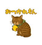 なんだかんだと和風猫 キジトラ編（個別スタンプ：12）
