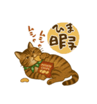 なんだかんだと和風猫 キジトラ編（個別スタンプ：17）