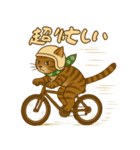 なんだかんだと和風猫 キジトラ編（個別スタンプ：19）