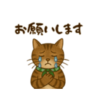 なんだかんだと和風猫 キジトラ編（個別スタンプ：22）