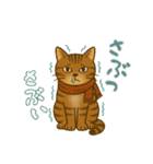 なんだかんだと和風猫 キジトラ編（個別スタンプ：25）