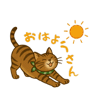 なんだかんだと和風猫 キジトラ編（個別スタンプ：33）