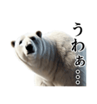 【あいづち】ダークマ（個別スタンプ：37）