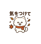 秋♡ず～っと使える♡ポメラニアン BIG（個別スタンプ：10）