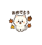 秋♡ず～っと使える♡ポメラニアン BIG（個別スタンプ：14）
