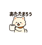 秋♡ず～っと使える♡ポメラニアン BIG（個別スタンプ：17）