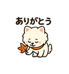 秋♡ず～っと使える♡ポメラニアン BIG（個別スタンプ：23）