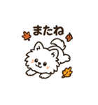 秋♡ず～っと使える♡ポメラニアン BIG（個別スタンプ：25）