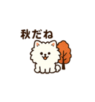 秋♡ず～っと使える♡ポメラニアン BIG（個別スタンプ：28）