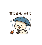 秋♡ず～っと使える♡ポメラニアン BIG（個別スタンプ：29）