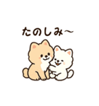 秋♡ず～っと使える♡ポメラニアン BIG（個別スタンプ：33）