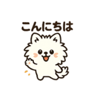 秋♡ず～っと使える♡ポメラニアン BIG（個別スタンプ：38）