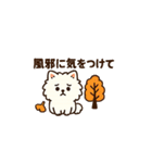 秋♡ず～っと使える♡ポメラニアン BIG（個別スタンプ：39）