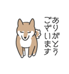 柴犬スタンプ（日常会話）（個別スタンプ：1）