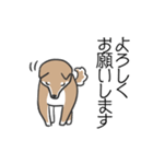 柴犬スタンプ（日常会話）（個別スタンプ：2）