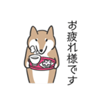柴犬スタンプ（日常会話）（個別スタンプ：4）