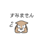 柴犬スタンプ（日常会話）（個別スタンプ：5）