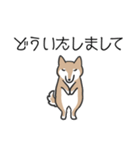 柴犬スタンプ（日常会話）（個別スタンプ：6）