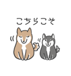 柴犬スタンプ（日常会話）（個別スタンプ：7）