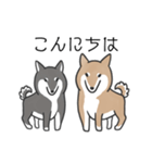 柴犬スタンプ（日常会話）（個別スタンプ：10）
