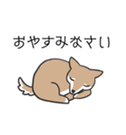 柴犬スタンプ（日常会話）（個別スタンプ：12）