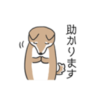 柴犬スタンプ（日常会話）（個別スタンプ：13）