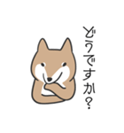 柴犬スタンプ（日常会話）（個別スタンプ：14）