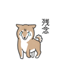 柴犬スタンプ（日常会話）（個別スタンプ：21）